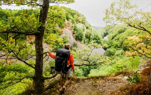 A hiker looking at a ravine in the woods at Söderåsens national park