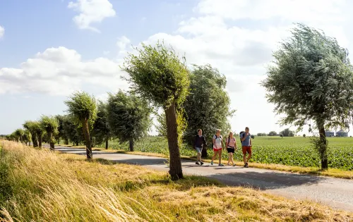 Four people hiking on a country road with fields around