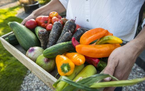 A tray with a mix of various vegetables