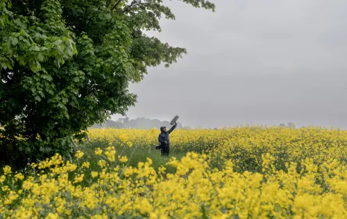 Sound technician by a rapeseed fiel