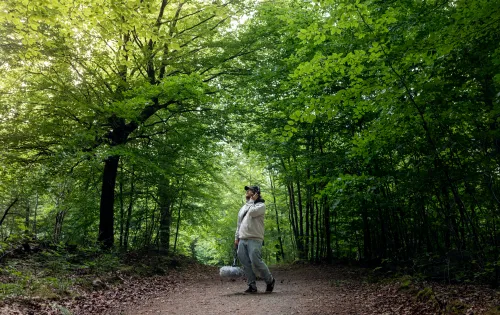 Sound technician in forrest