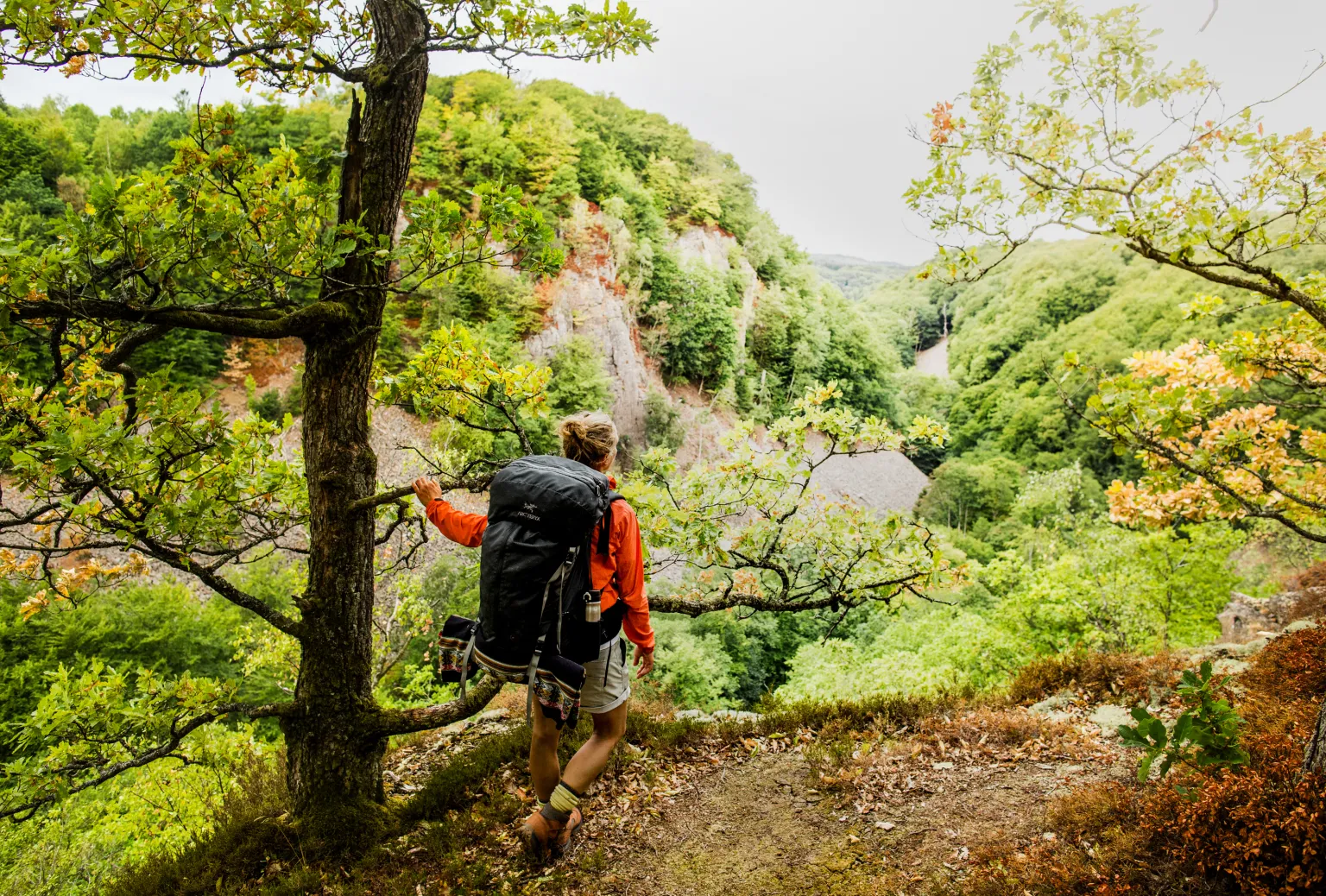 A hiker looking at a ravine in the woods at Söderåsens national park