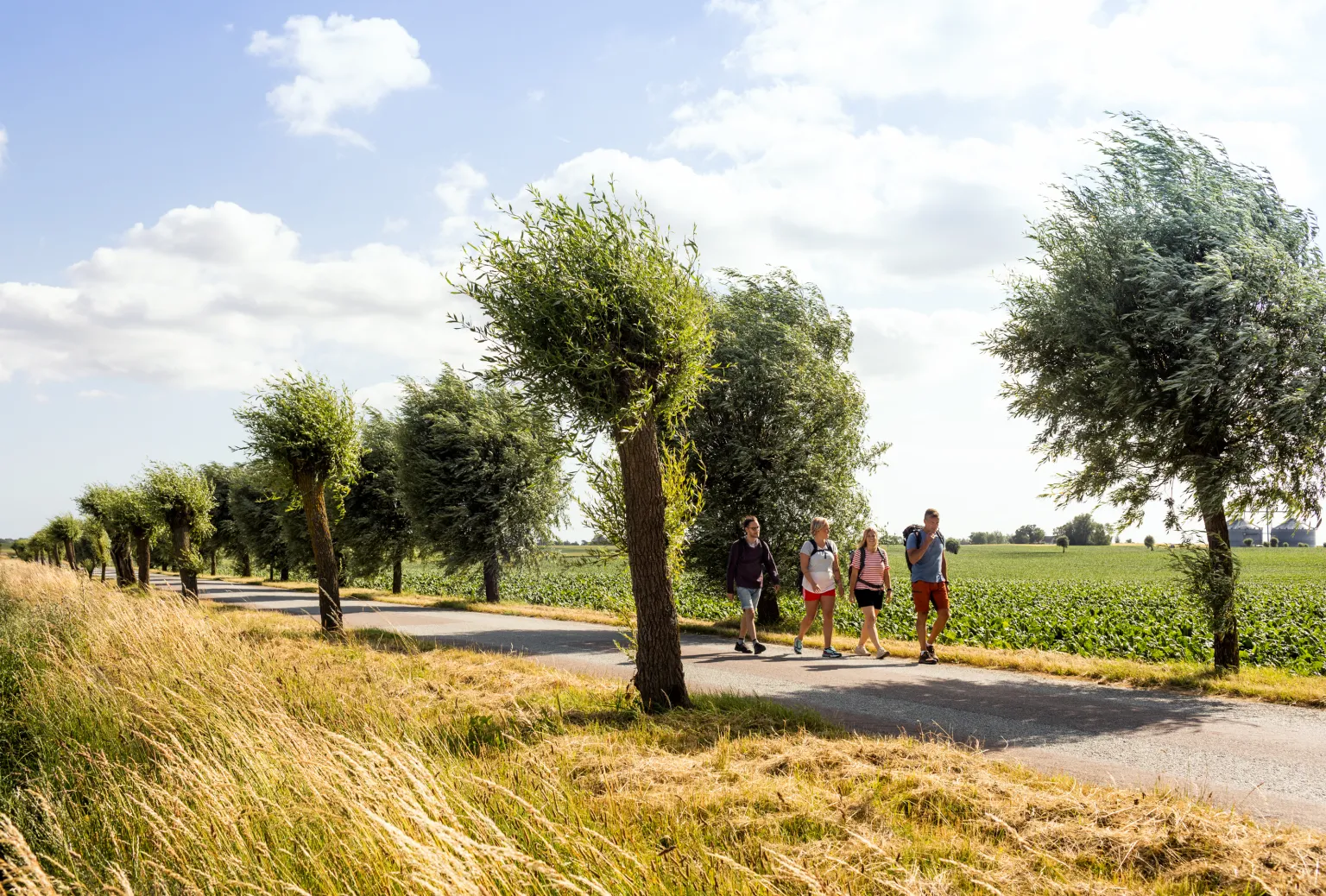 Four people hiking on a country road with fields around