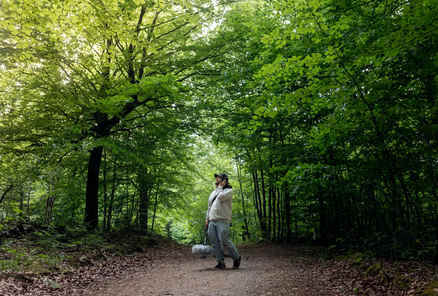 Sound technician in forrest