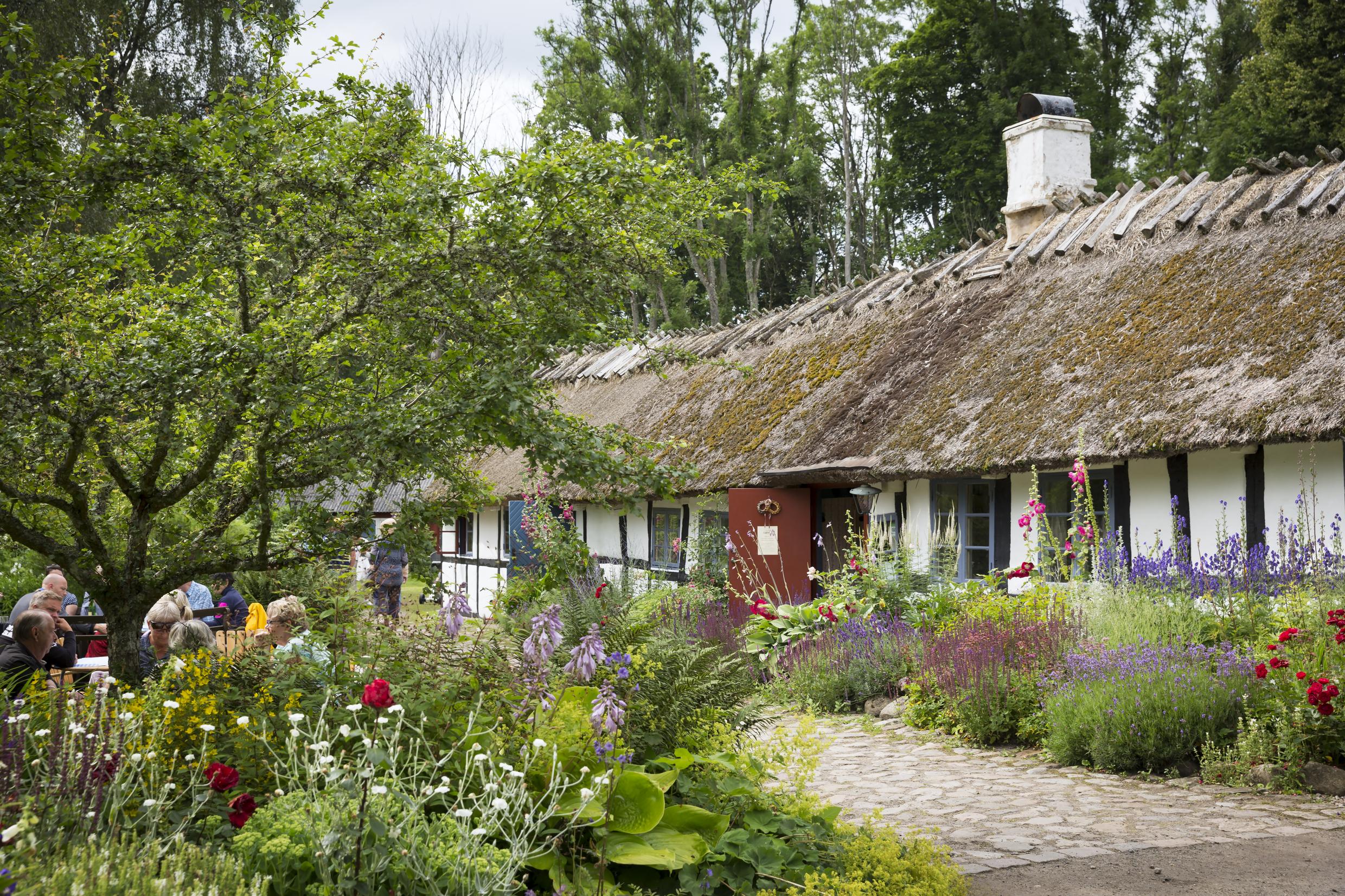 Heritage cottage in green garden surrounding