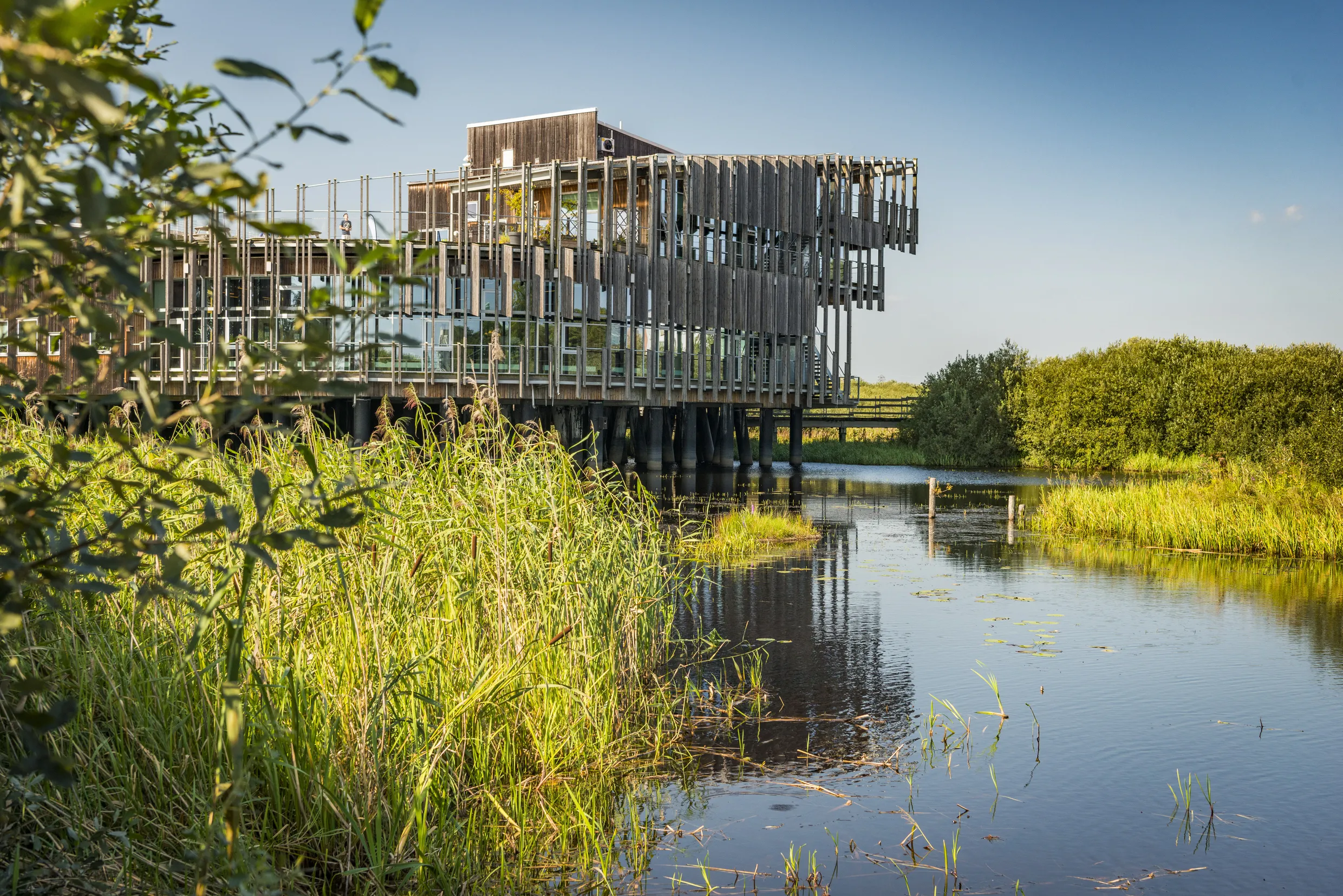 Ein großes Gebäude mit einer Fassade aus Holz und Glas neben einem Fluss in grüner Umgebung