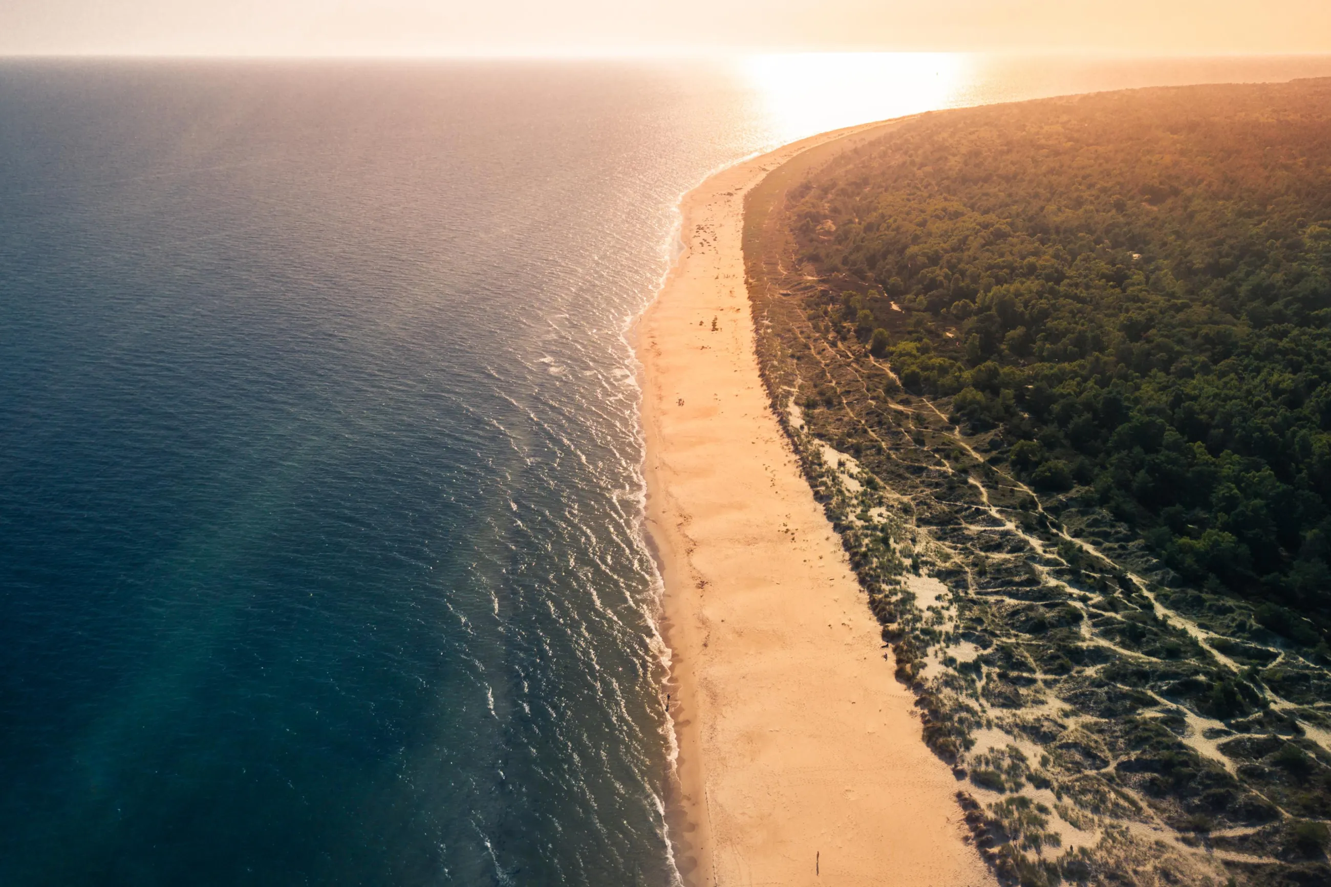 Blick von oben auf einen Strand in Sandhammaren