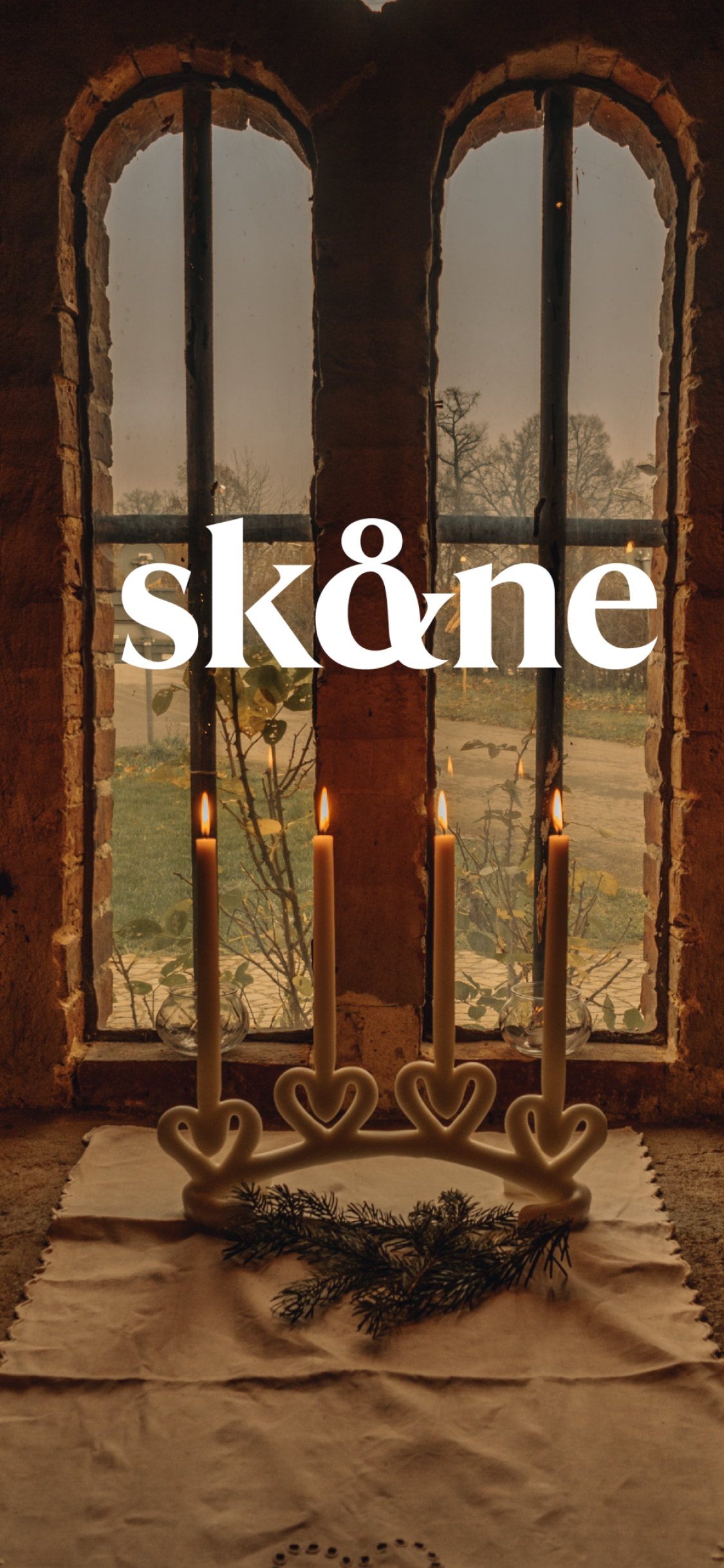 windows in a Christmas setting