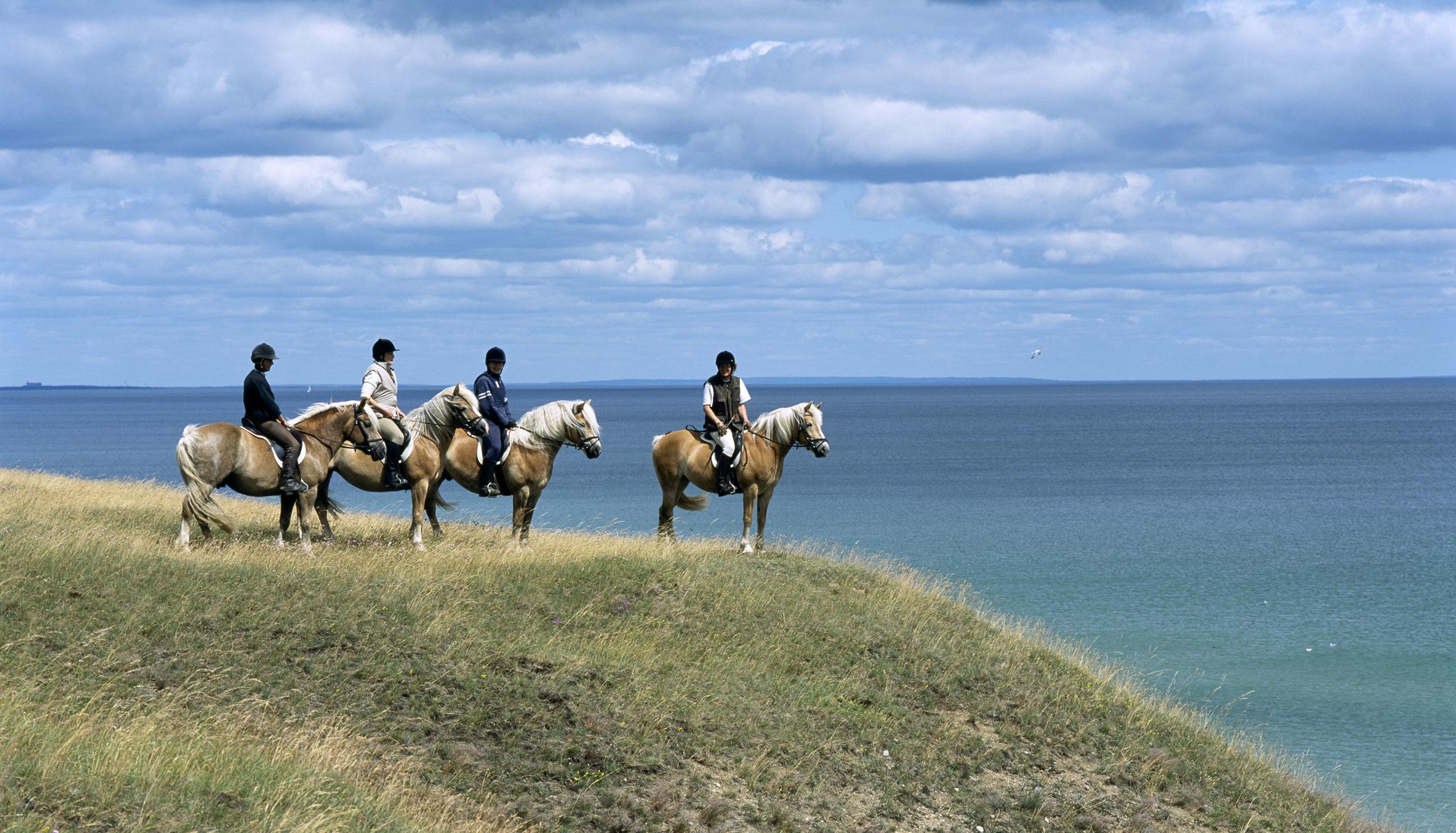 Four people on horses on a hill overlooking the sea