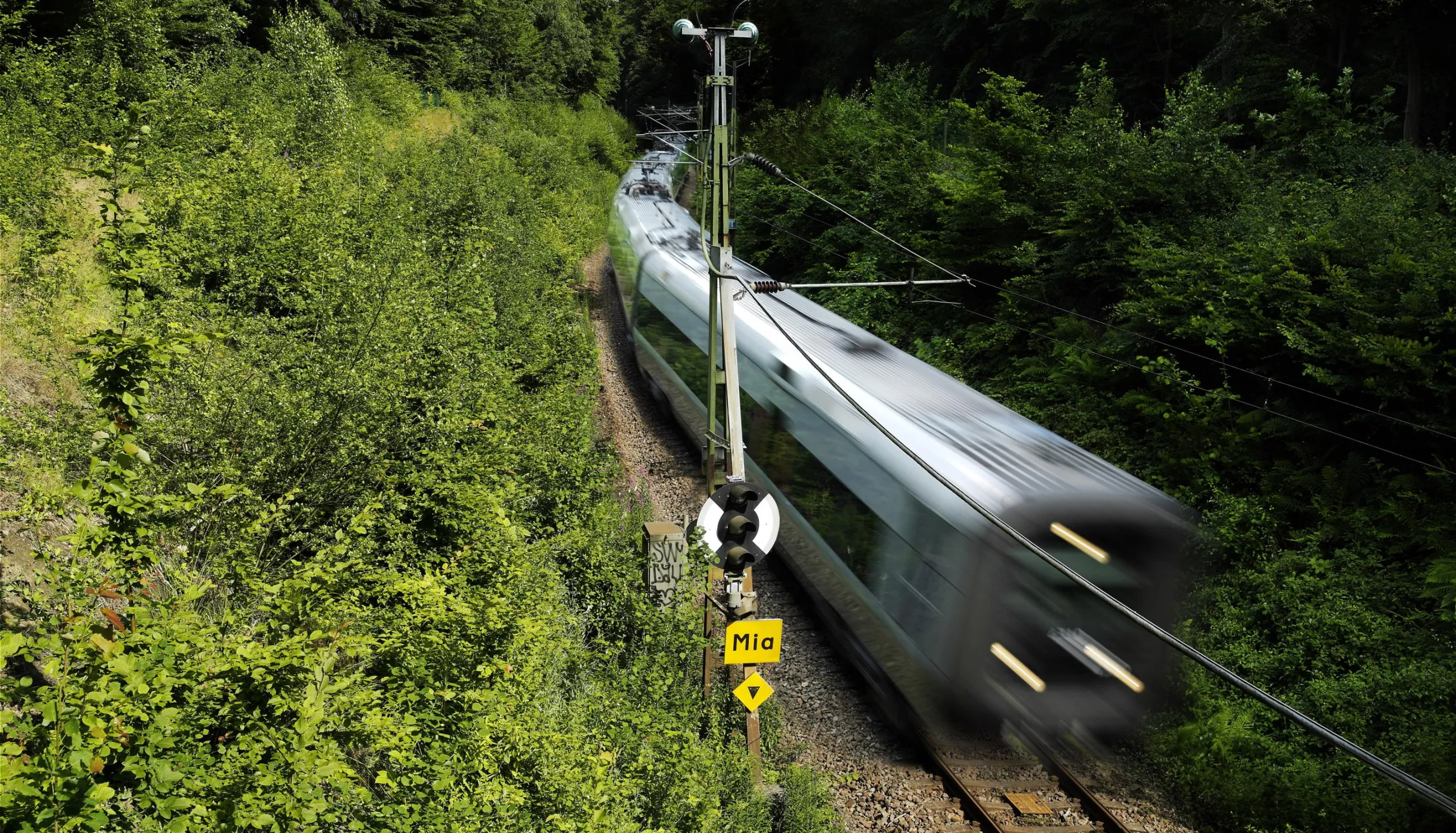 Fast train on a railway with greenery on the left side