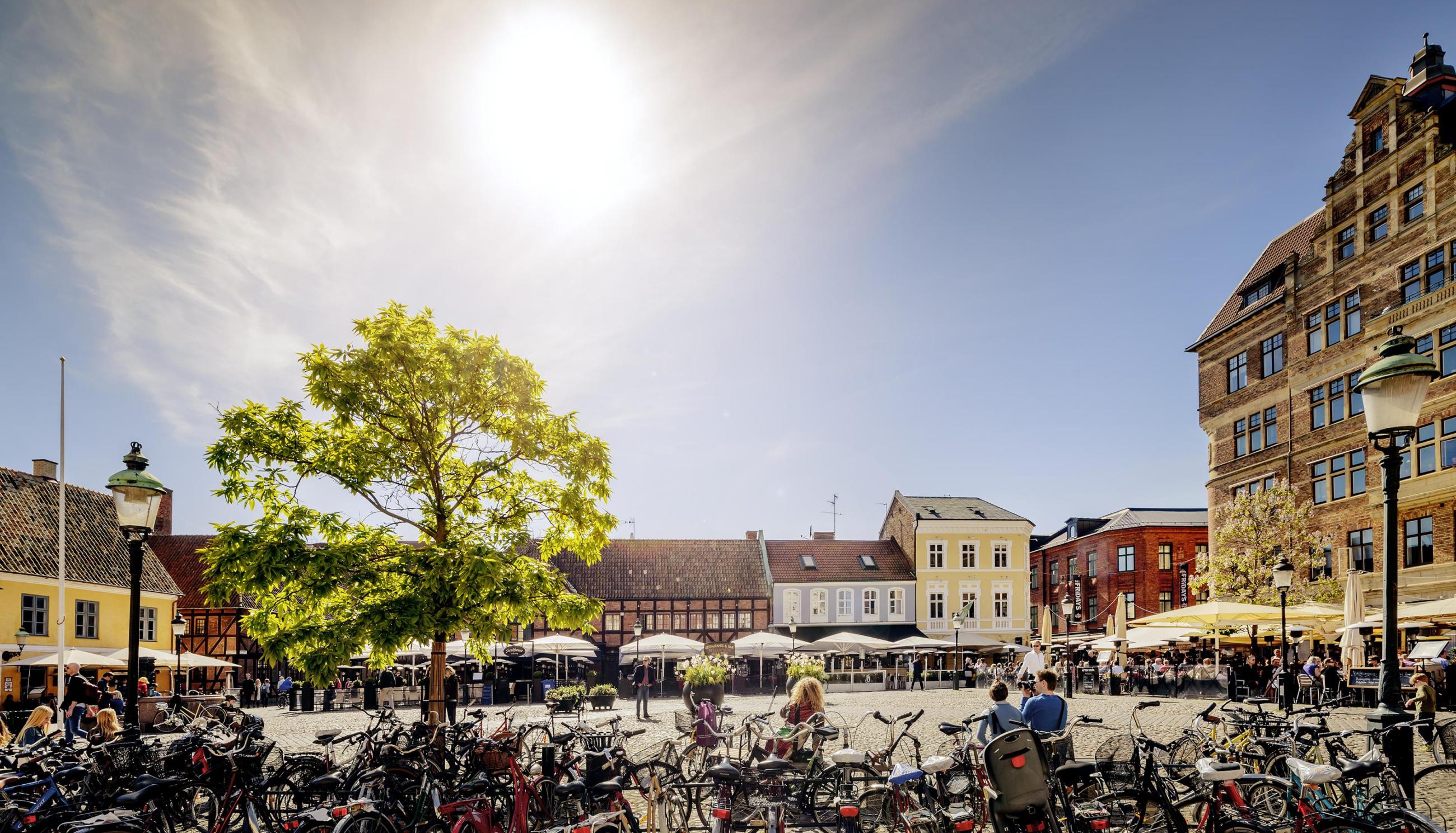 Der Platz Lilla Torg in Malmö, wo an einem sonnigen Sommertag viele Fahrräder nebeneinander geparkt sind.