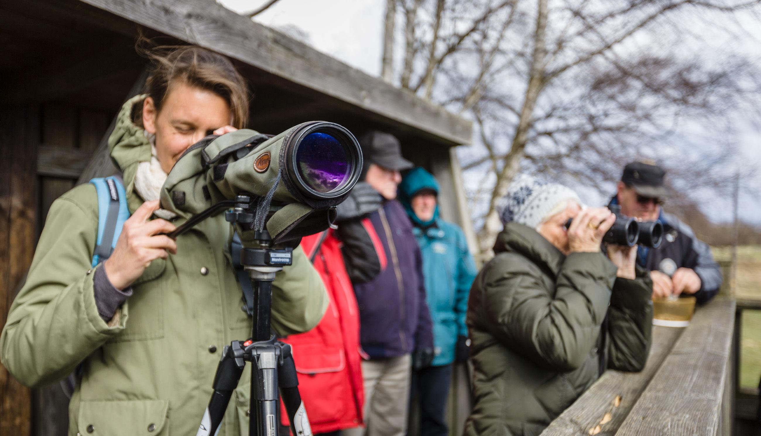 Birdwatchers guide to digital photography