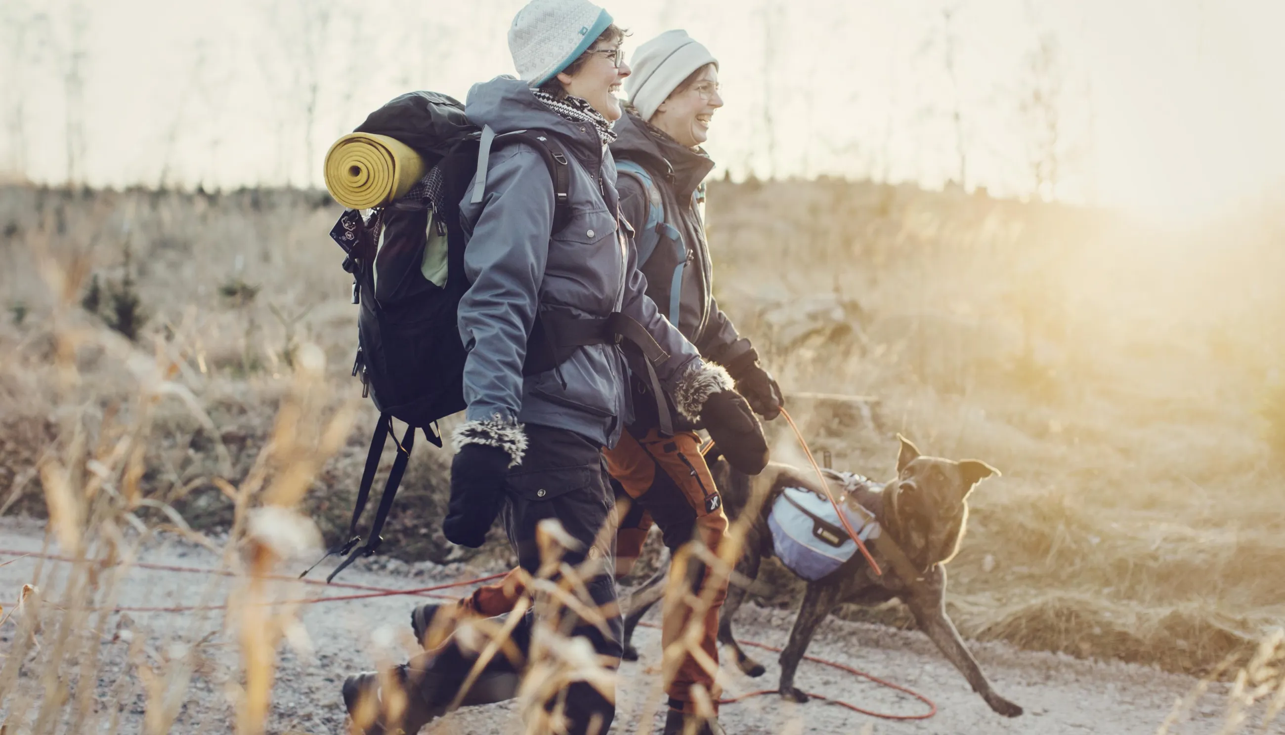 Två personer på vandring med hund