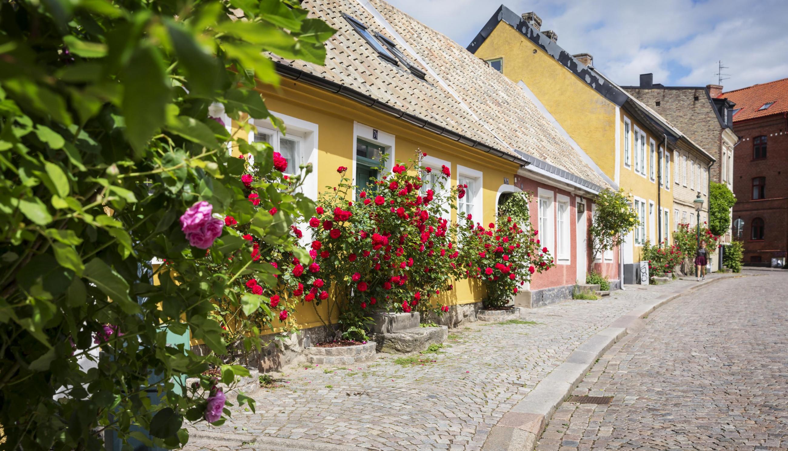 Färgglada och pittoreska hus på kullerstensgata i Lund