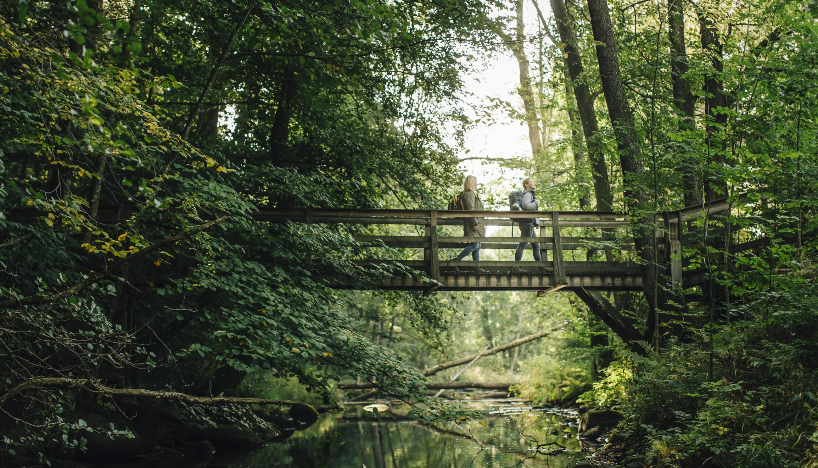 Söderåsens Nationalpark