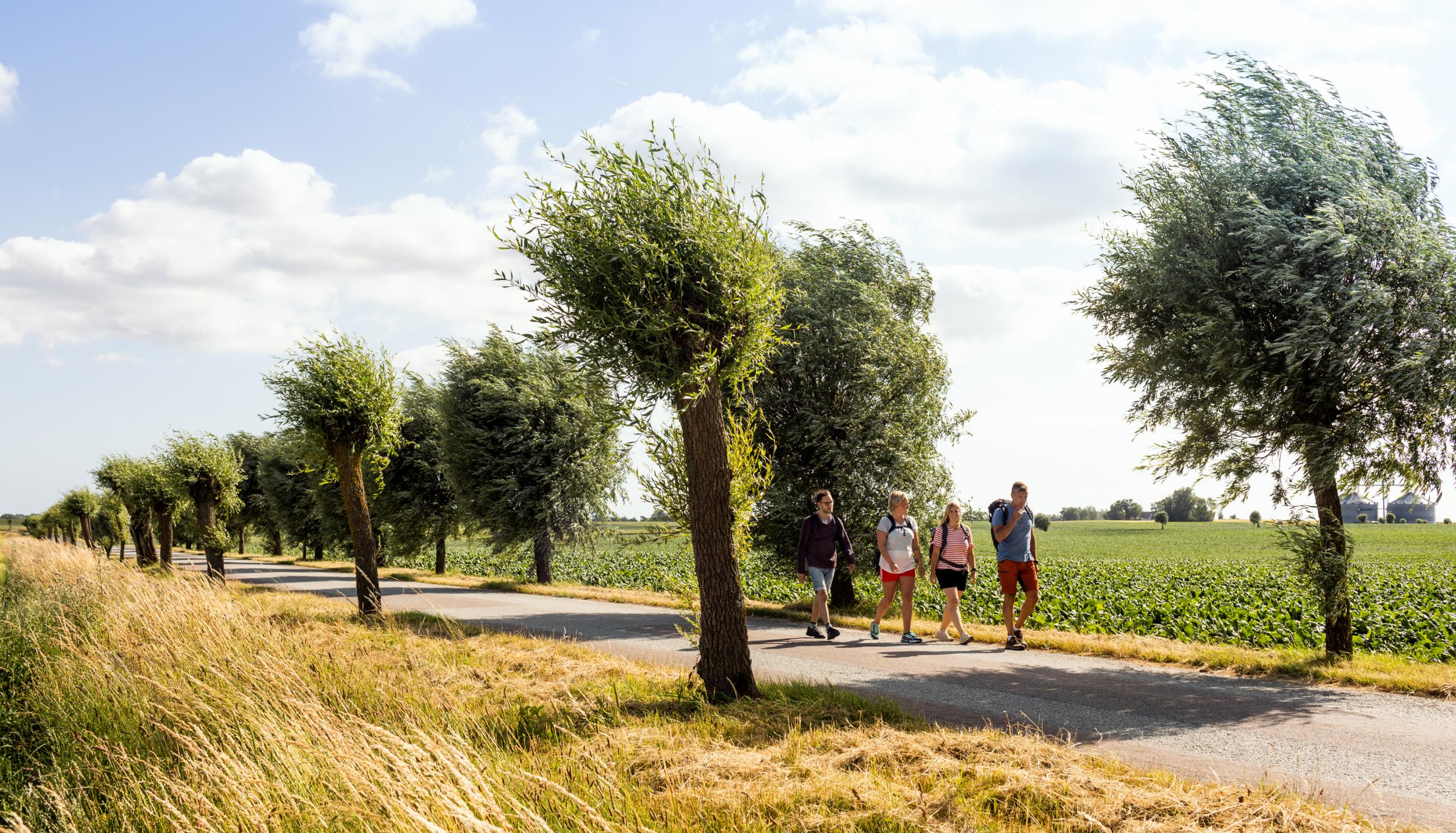 Four people hiking on a country road with fields around