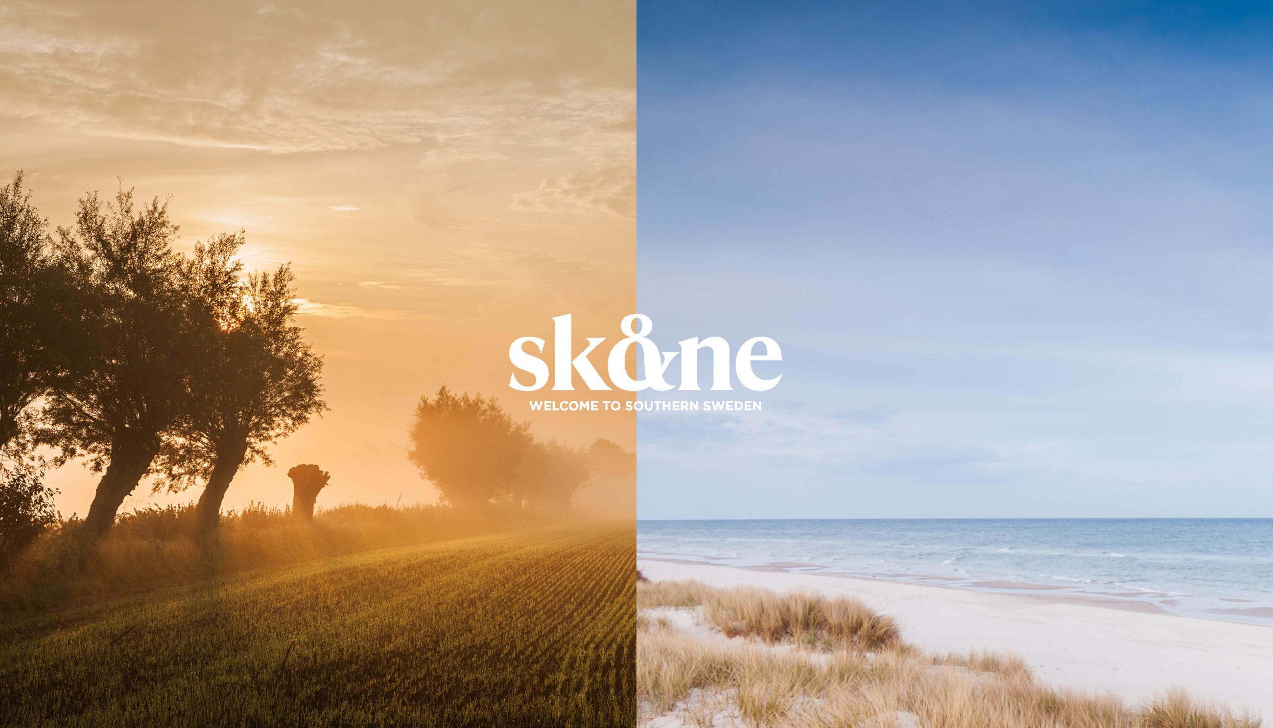 Visit Skåne frontpage header logo