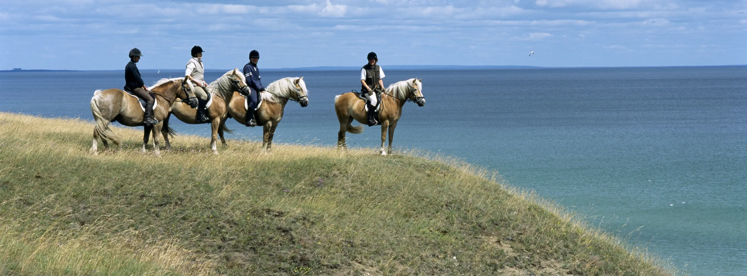 Go Horseback riding