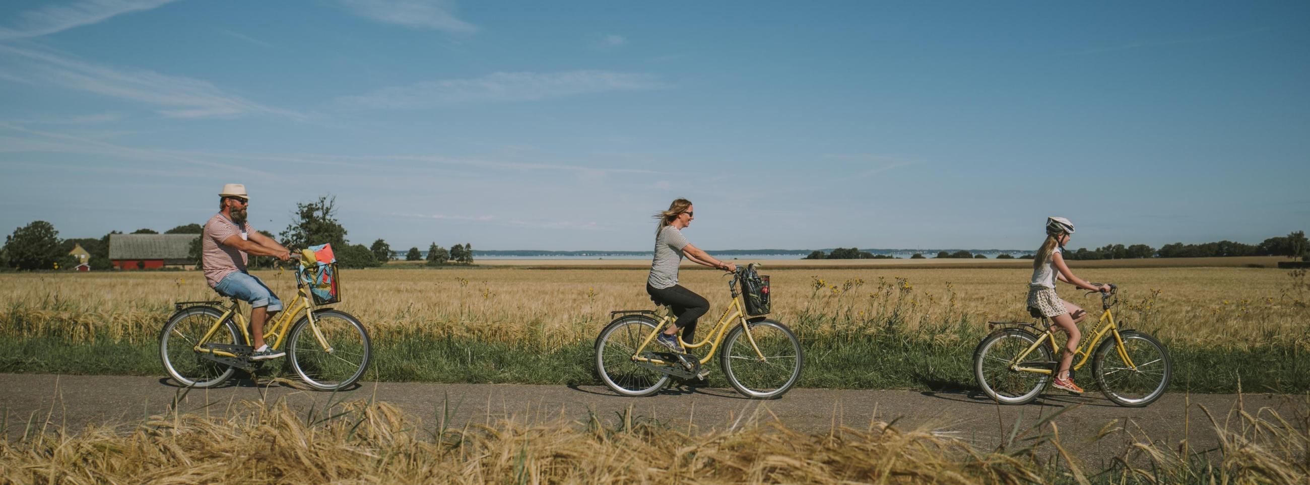 Family biking through the fields on the island of Ven
