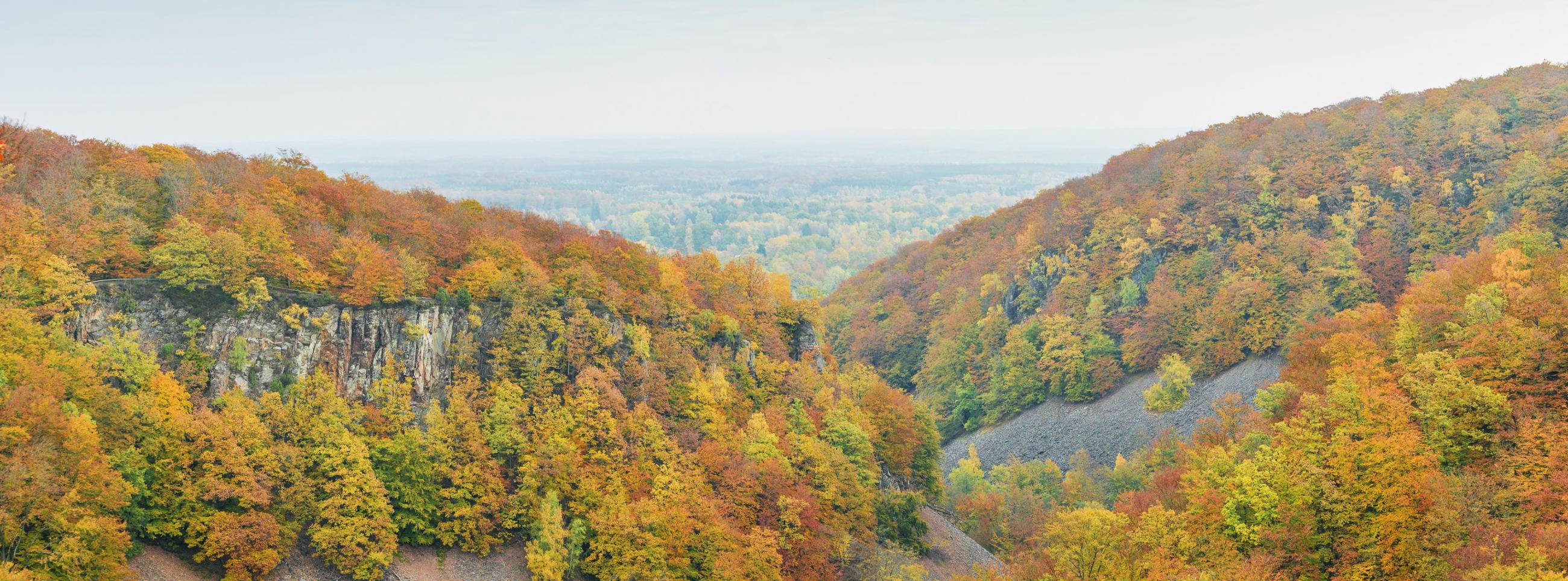 Söderåsen in the fall
