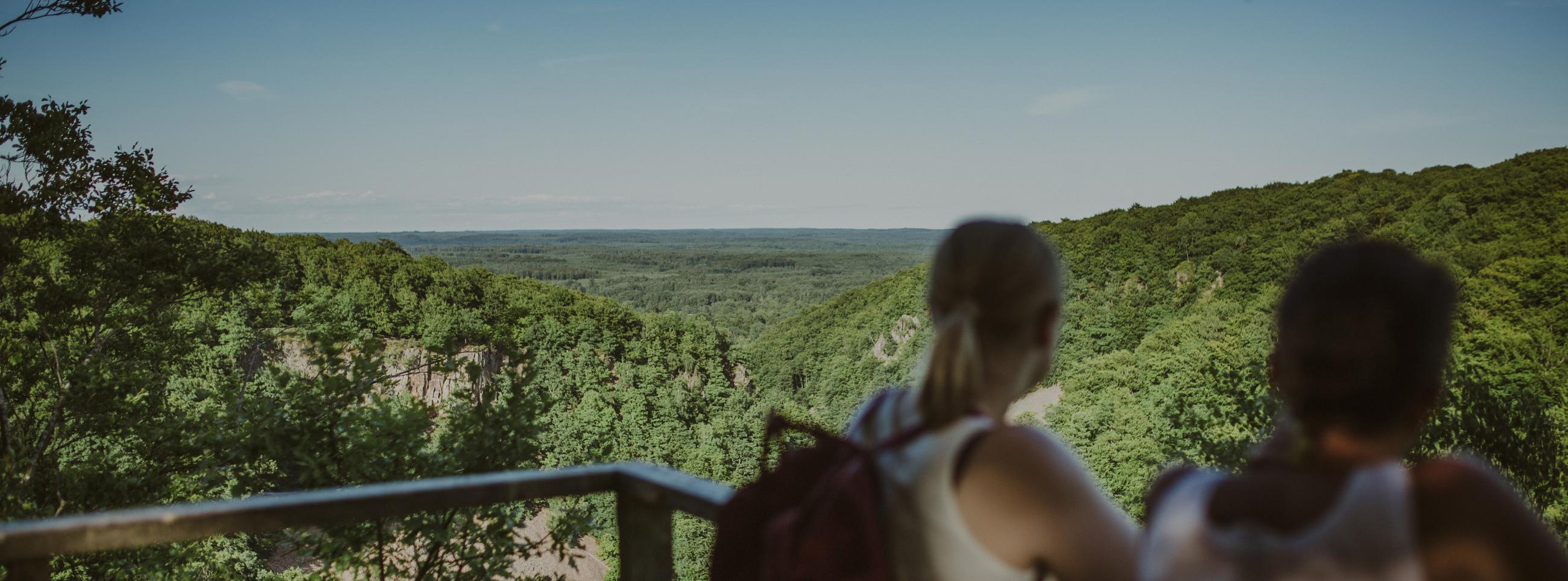 söderåsen nationalpark