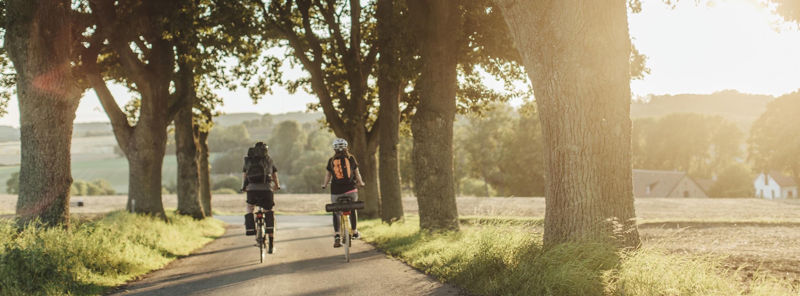 Biking on Sydostleden