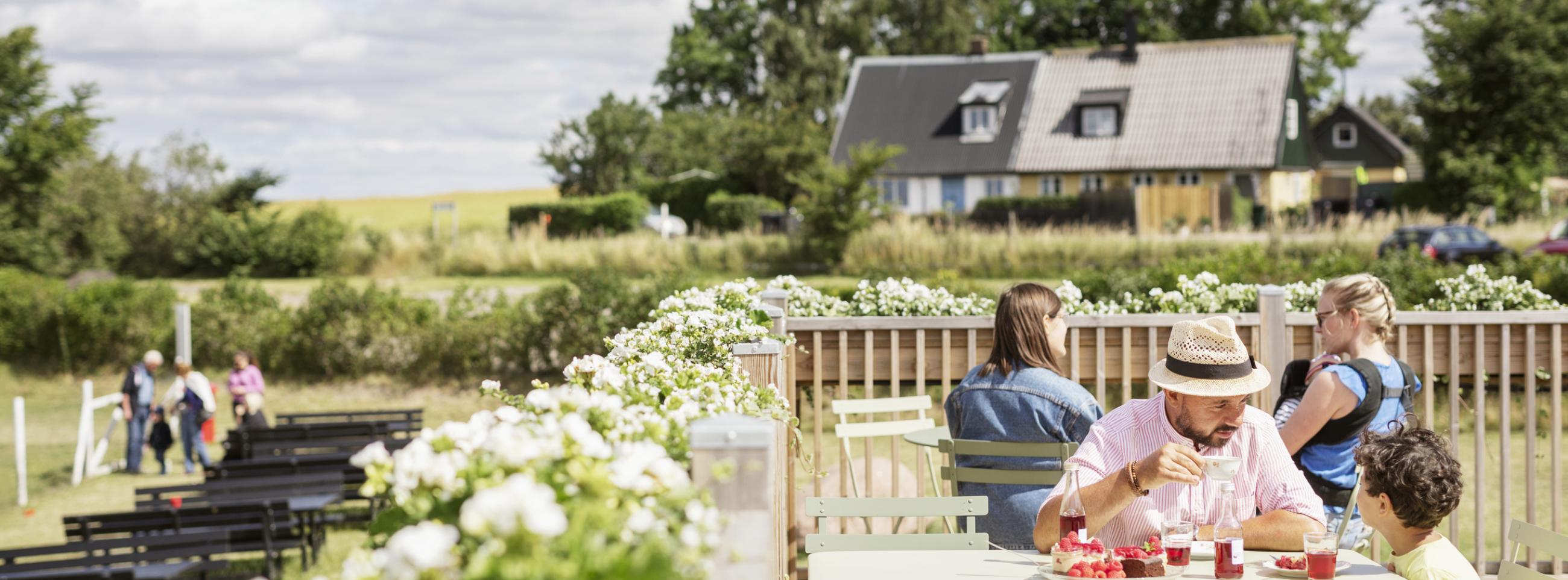 Father and son enjoying desserts with berries at outdoor cafe terrace with flowering plants. Country house and fields visible in background