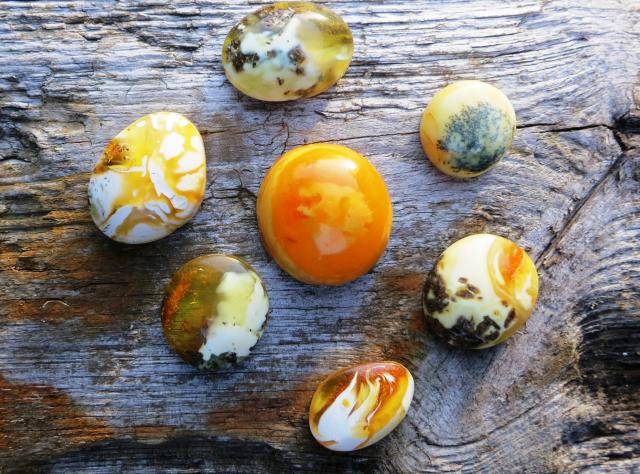 Various amber stones © Leif Brost