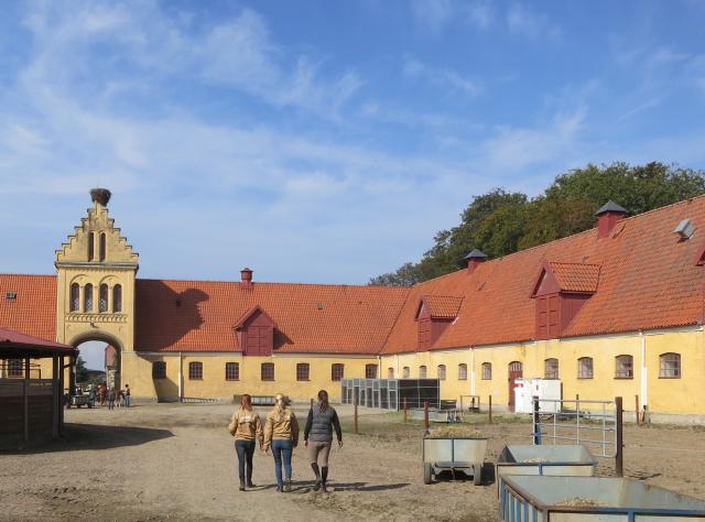 The yellow stables of Flyinge Kungsgård