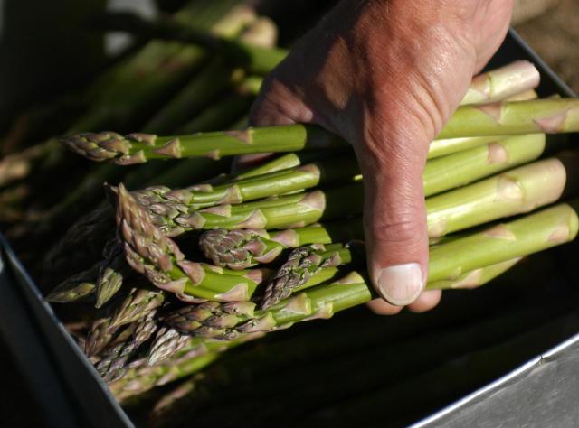 A man takes a handful of asparagus from a box