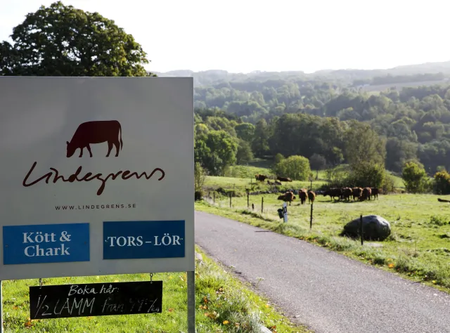 An einer Landstraße steht das Schild von Lindegrens Fleischerei und im Hintergrund sieht man grasende Kühe in der üppigen grünen Landschaft.