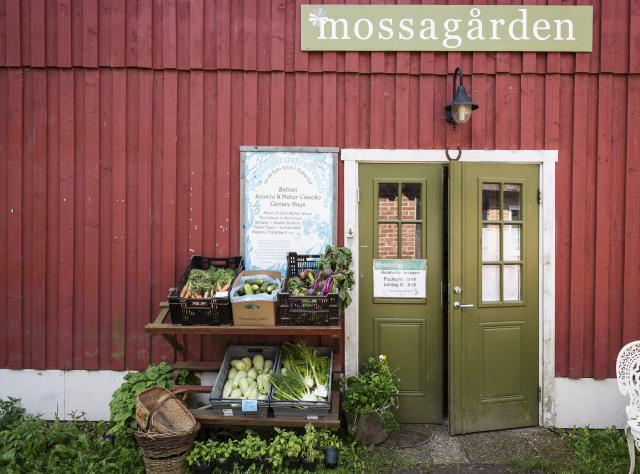 Frisches Gemüse im Hofladen von Mossagården.