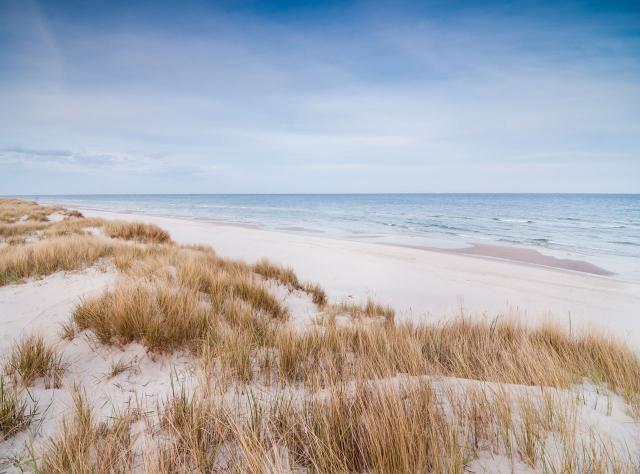 Beach Sandhammaren in Skåne