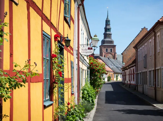 Bunte Fachwerkhäuser im historischen Stadtkern von Ystad.