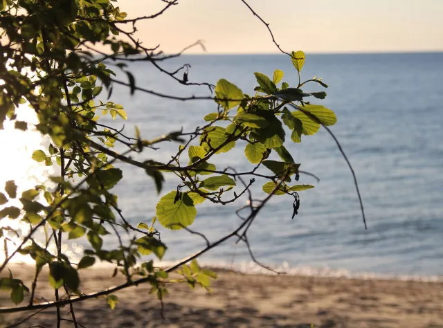 Morgendlicher Blick auf das Meer bei Kivik.