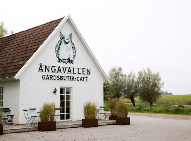 Ängavallen