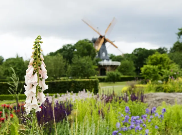 Slottsträdgården i Malmö