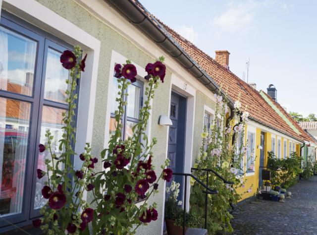 Street view of colorful and picturesque houses in simrishamn