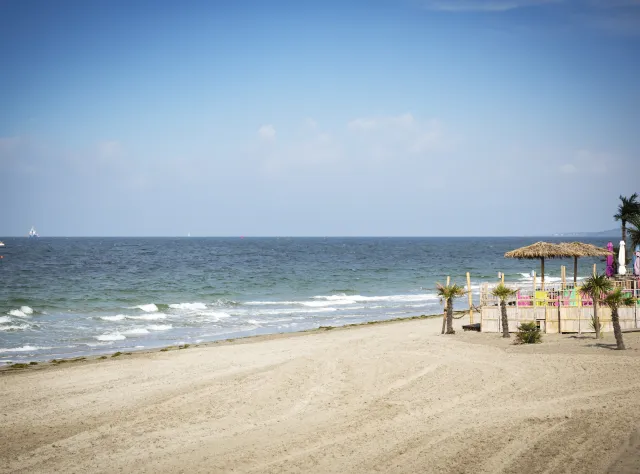 Sandy beach and straw umbrellas on Tropical beach in Helsingborg