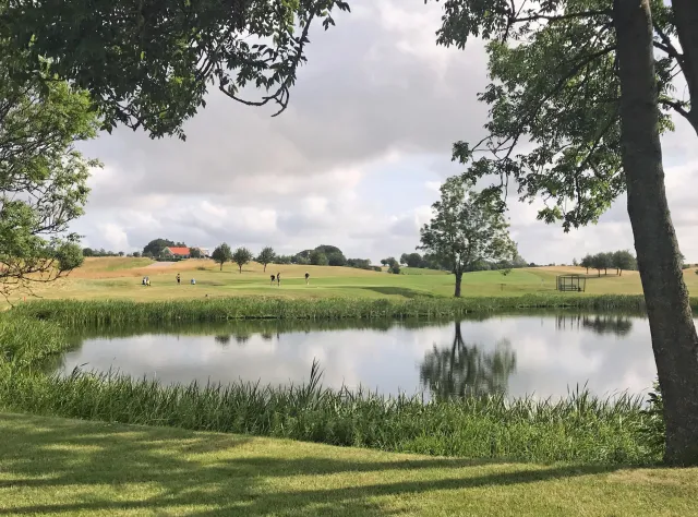 Close up of pond in golf field 