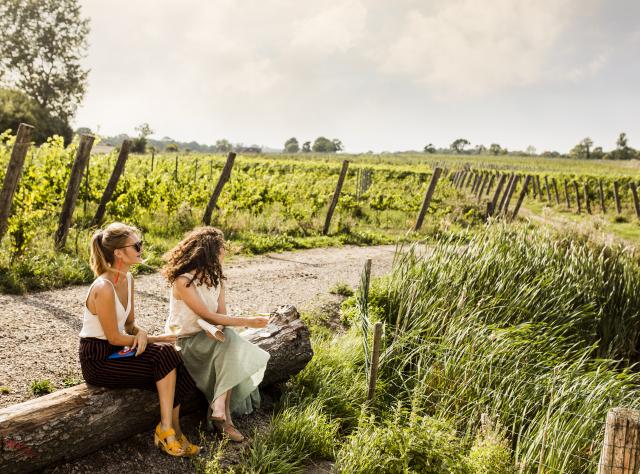 Två unga kvinnor sitter på en stock bredvid grusväg i en vingård