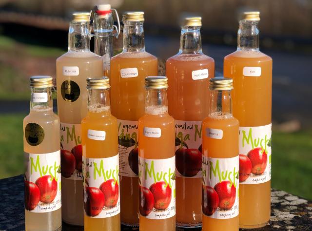 Apple juice bottles in rows