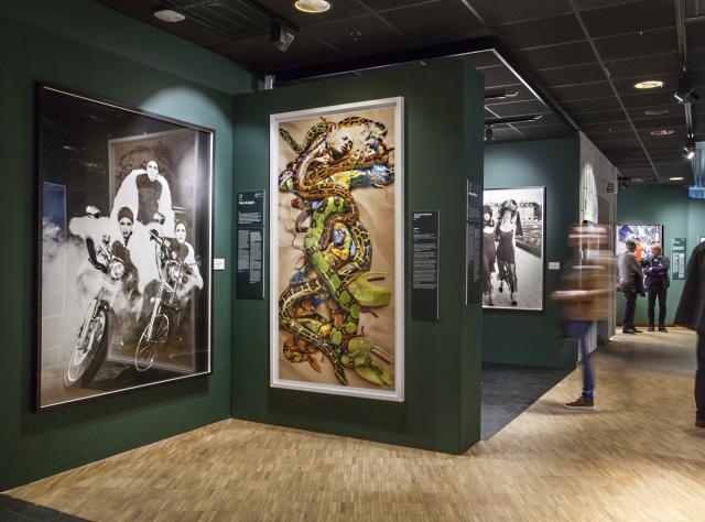 photos hanging on dark green museum walls