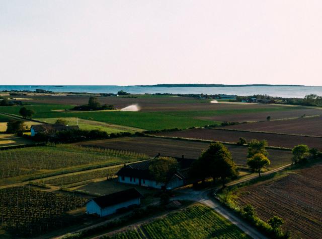 Drönarvy över fältlandskap med vingård och havet i horisont