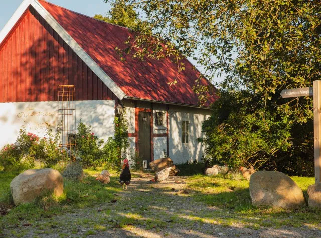 Aftonmora Vingård