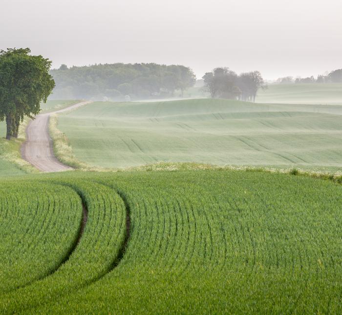 southeast österlen