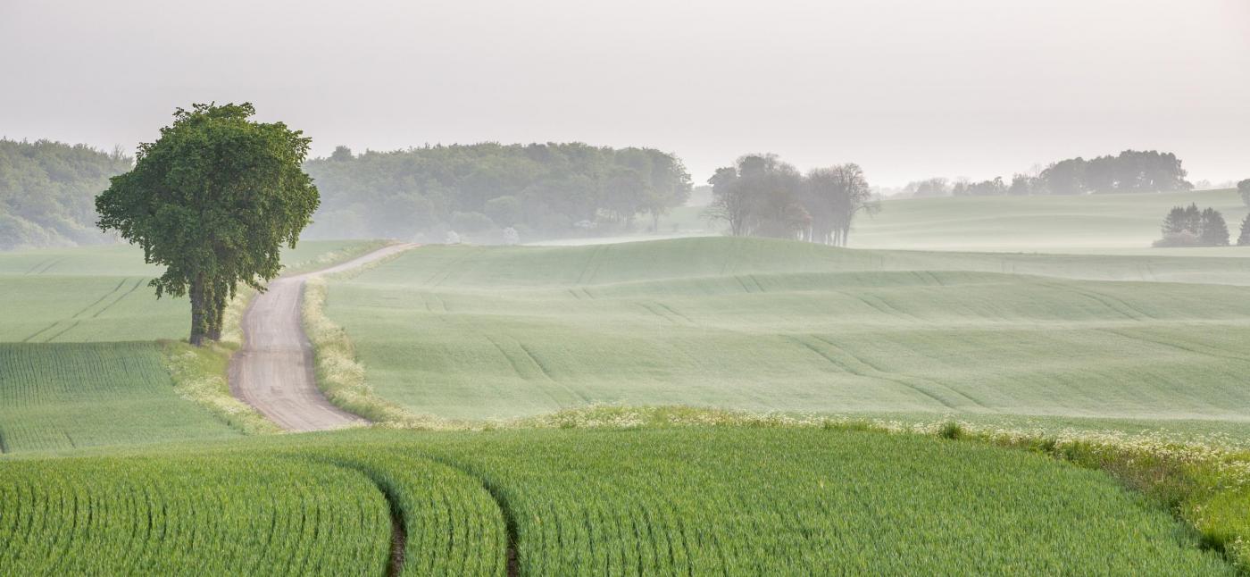 Österlen © Anders Palmér