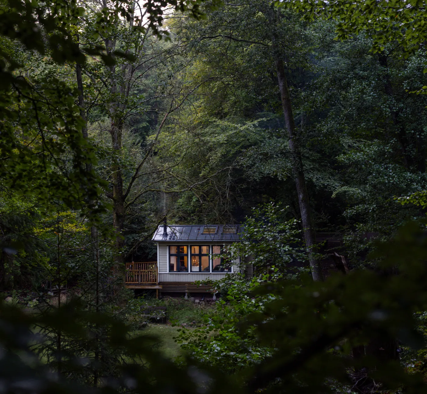 Cottage in the woods