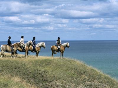 Vier Reiter zu Pferd auf einem Hügel mit Meerblick.