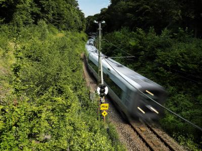 Ein Zug rauscht durch die grüne Landschaft.